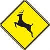 safe fall driving tips deer sign