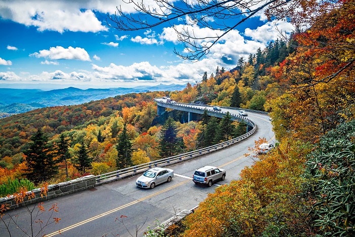 Safe fall driving tips lg